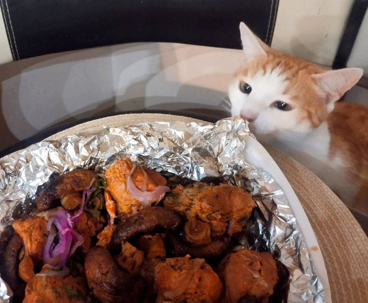 Основательно подкрепляемся