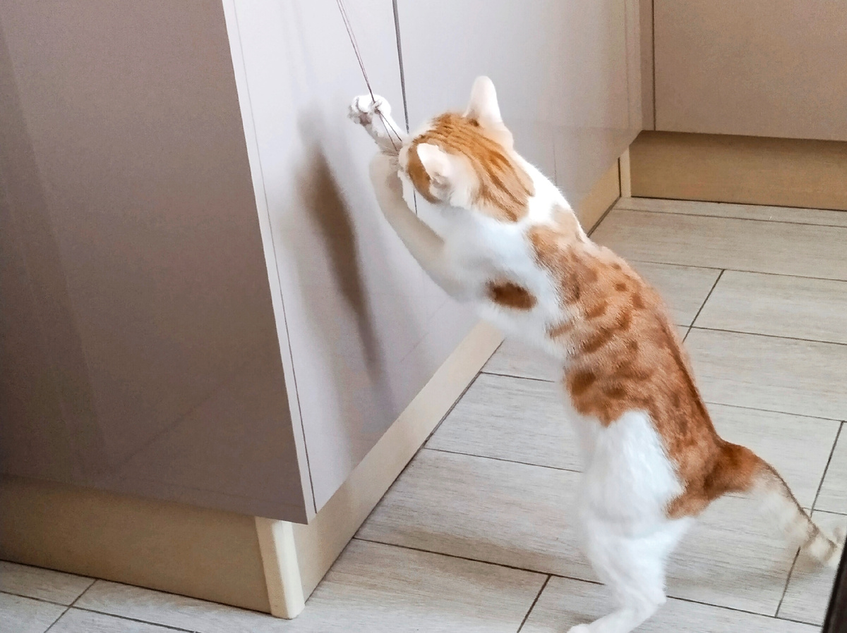 Движение согревает