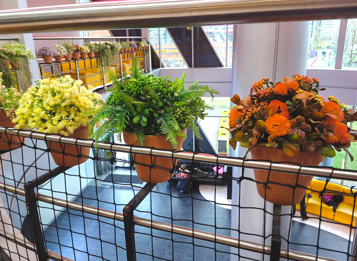 Фото из холла бань