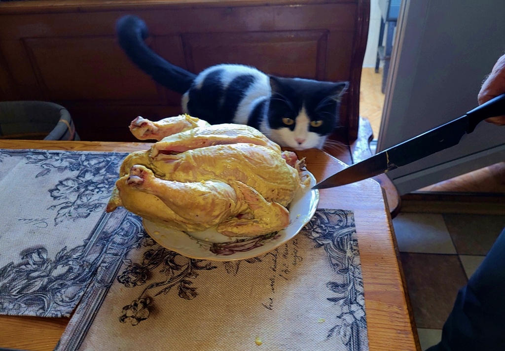 Макс помогает готовить