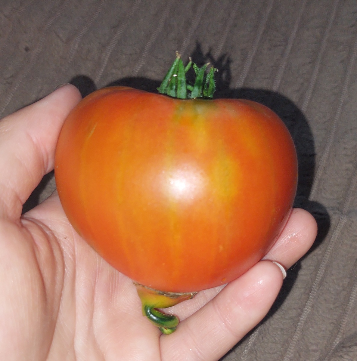 Канадское наследие 