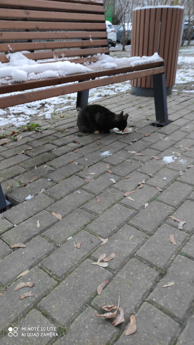 Пауч тоже с курицей. 