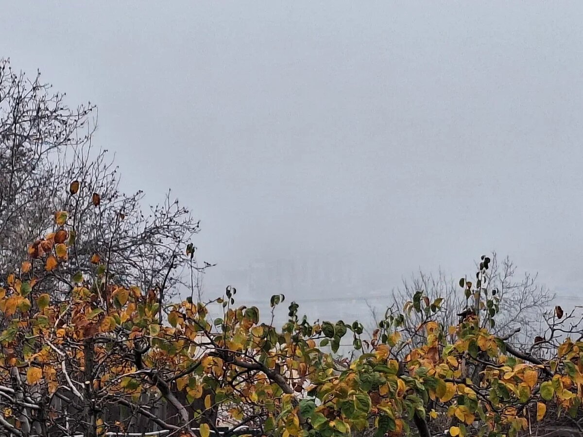 Фото автора.За туманом город.