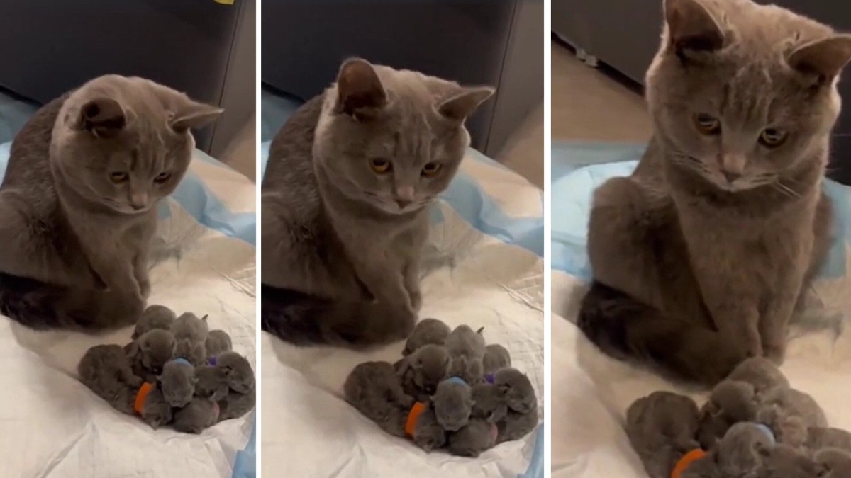 Как же я так влипла?! 