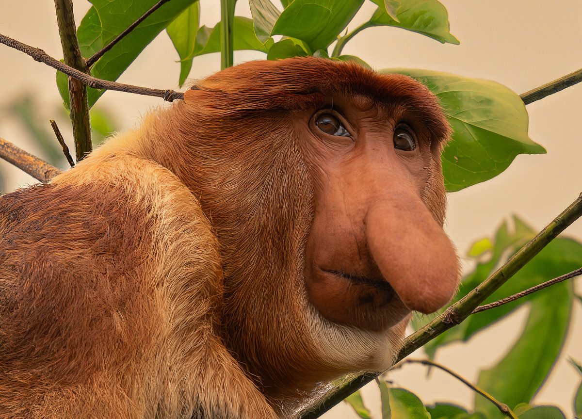 Фотография из интернета