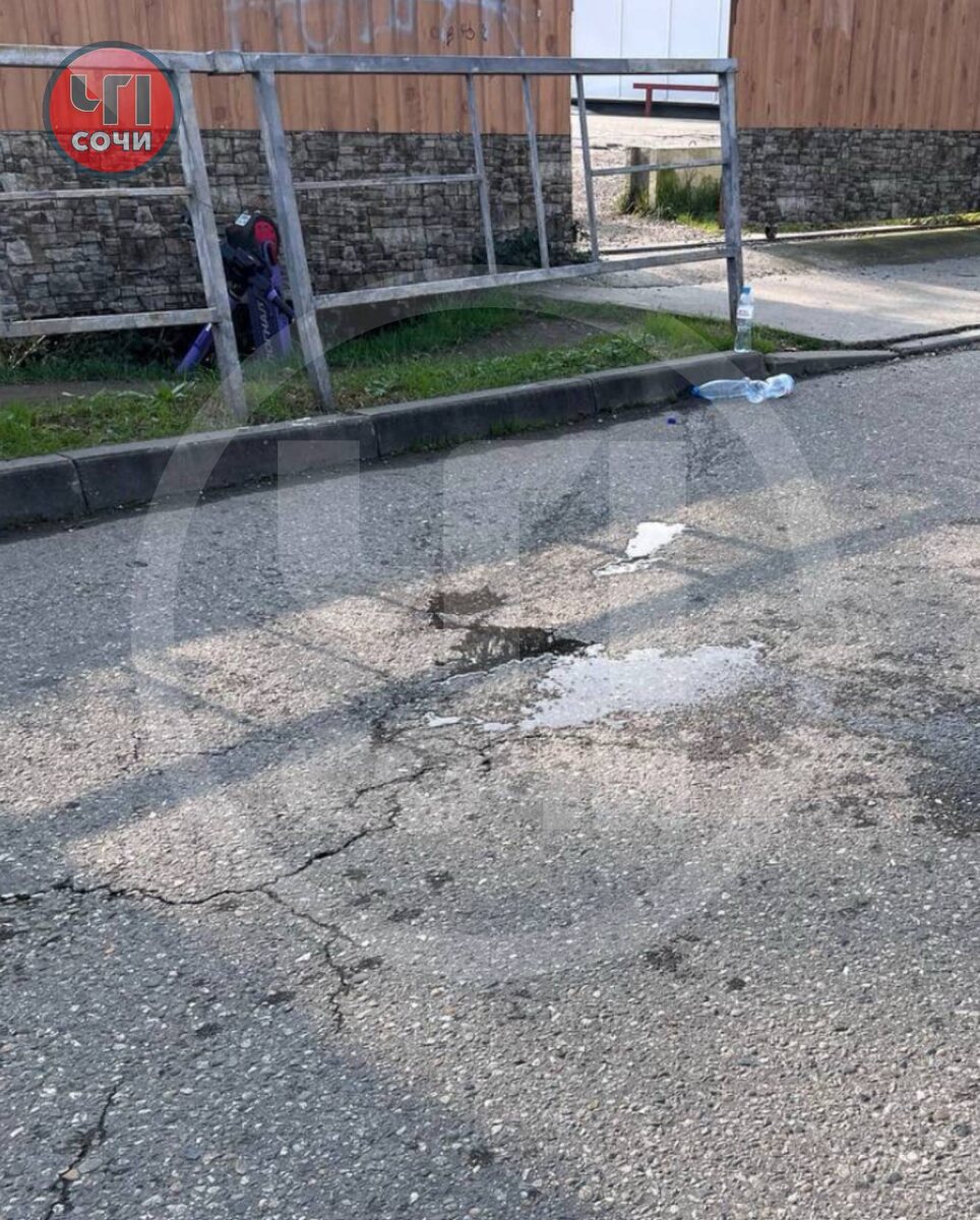    Фото: Telegram/ЧП Сочи