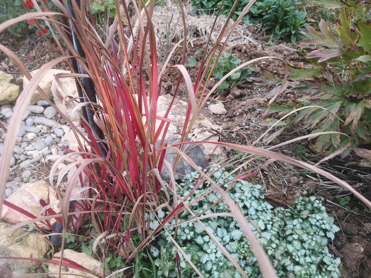 Не вся за 100 рублей, здесь деленки три будет