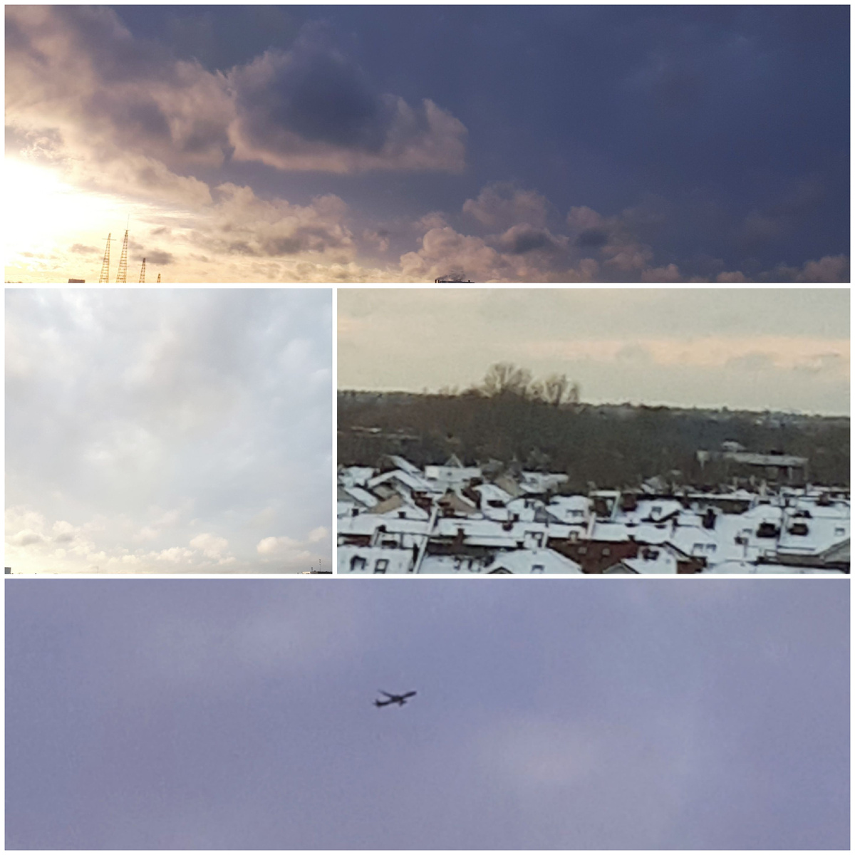 Коллаж автора 16.11.2025г.