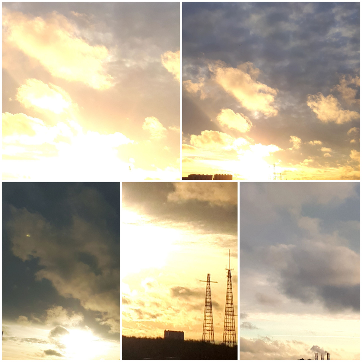 Коллаж автора 16.11.2025г.