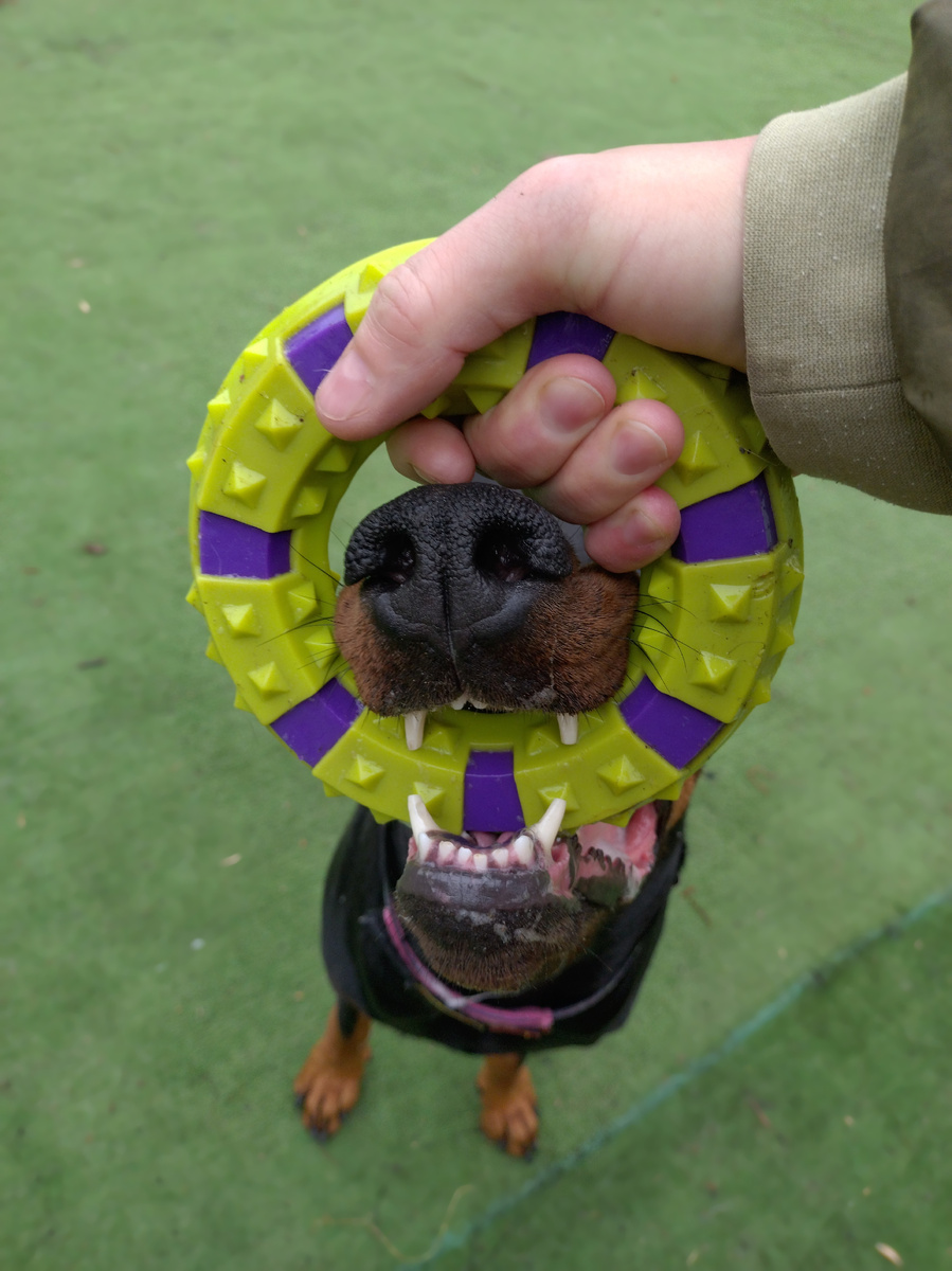 Рацион без химии? Возможно ли это?