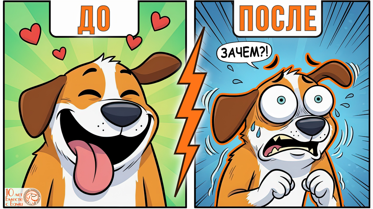 Электрошоковый ошейник превращает счастливую собаку в испуганное существо. Формат «ДО/ПОСЛЕ» показывает эмоциональное воздействие ЭШО на питомца | Иллюстрация: DogSelf