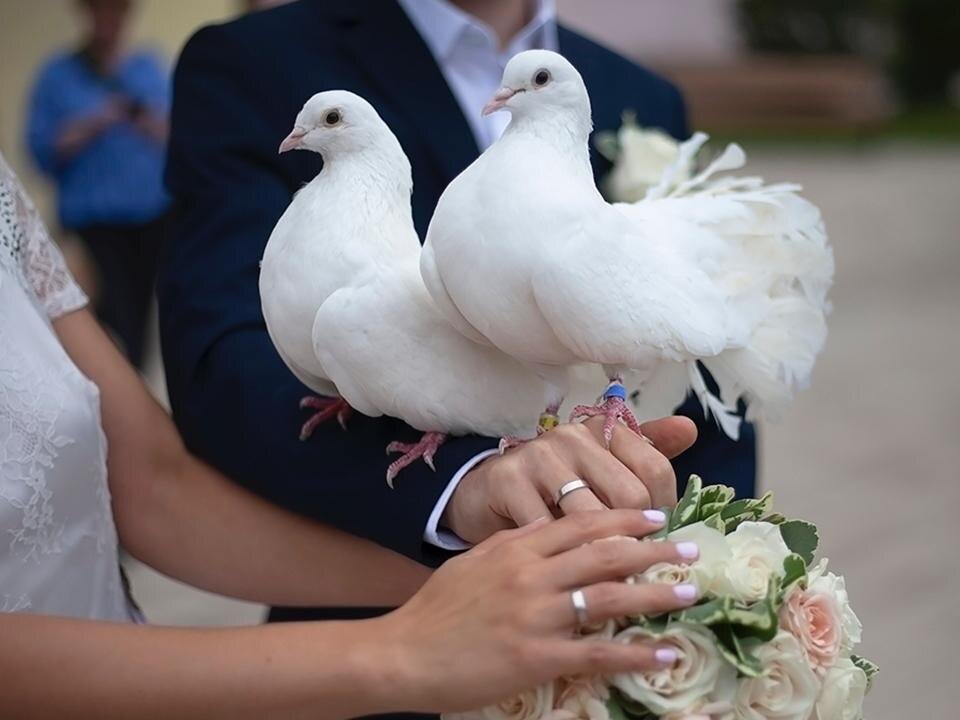    Фото: istockphoto.com/Олег Копьев