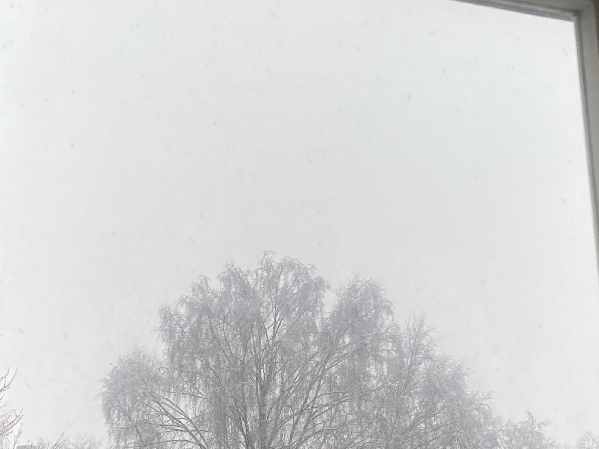 15 ноября 2025, фото мое