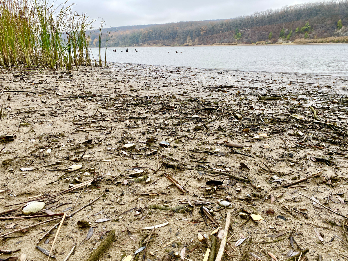 Уровень воды в Белгородском водохранилище упал на полтора метра