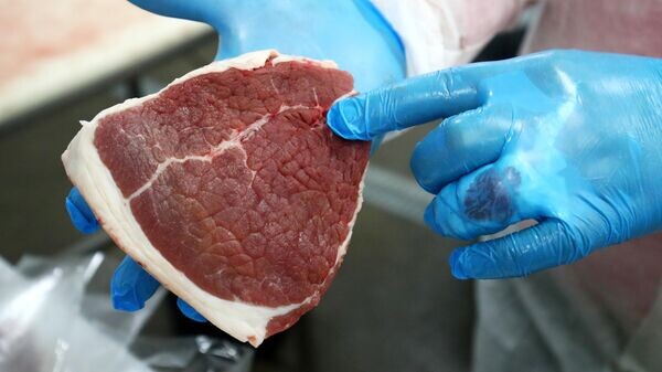    © РИА Новости . Кирилл Брага