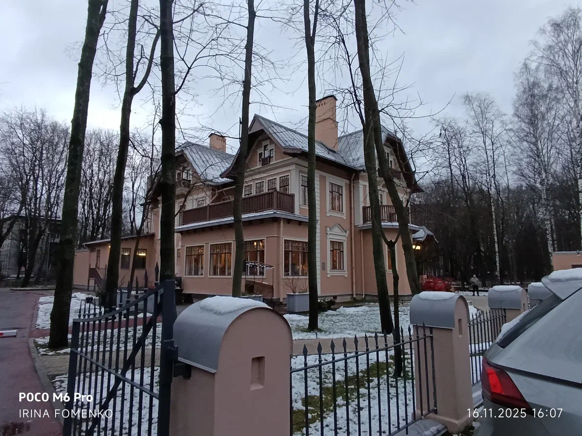 Особняк Данилевского. Фото автора