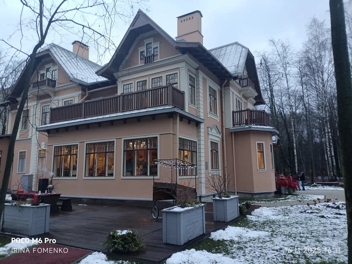 Особняк Данилевского. Фото автора (листайте галерею)