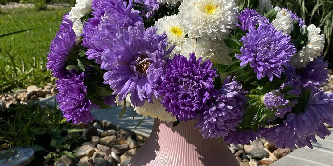 Подзимные  посевы🌸