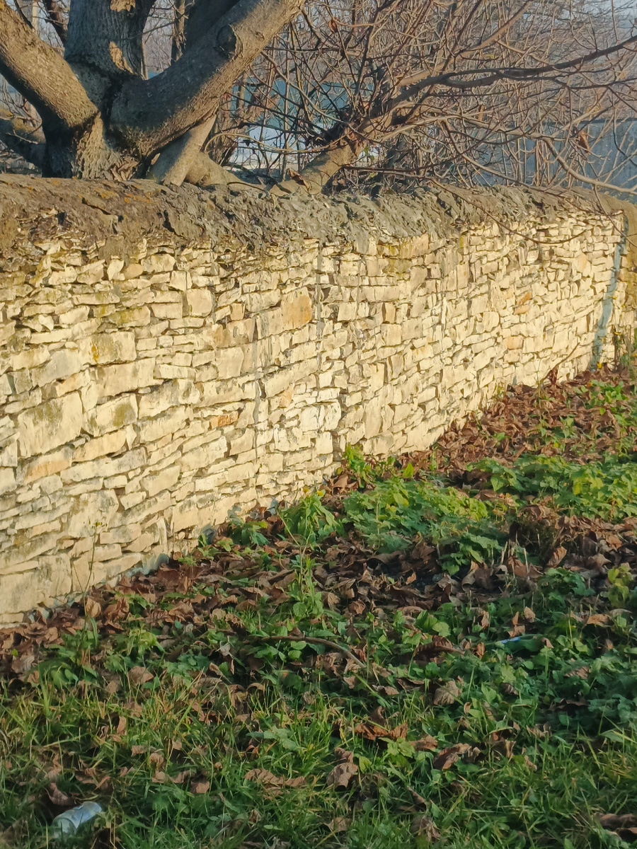 Боргустанские заборы