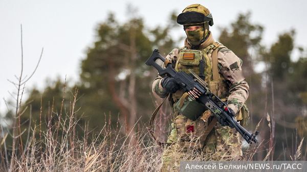     Фото: Алексей Белкин/NEWS.ru/ТАСС   
 Текст: Евгений Поздняков