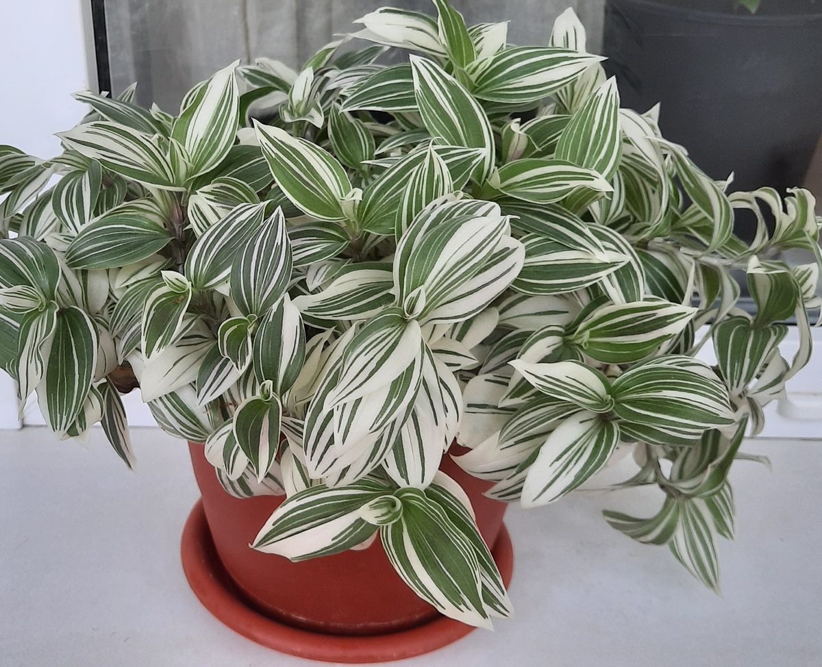 Все фото в статье автора.