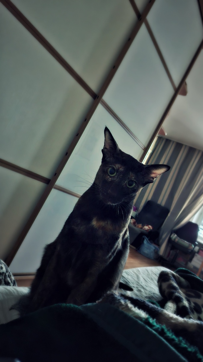 Здрасьте Вам через окошко, мамаша! Сами подумайте! Где я и где дверь? Абсолютно достоверно, дверь самоликвидировалась!