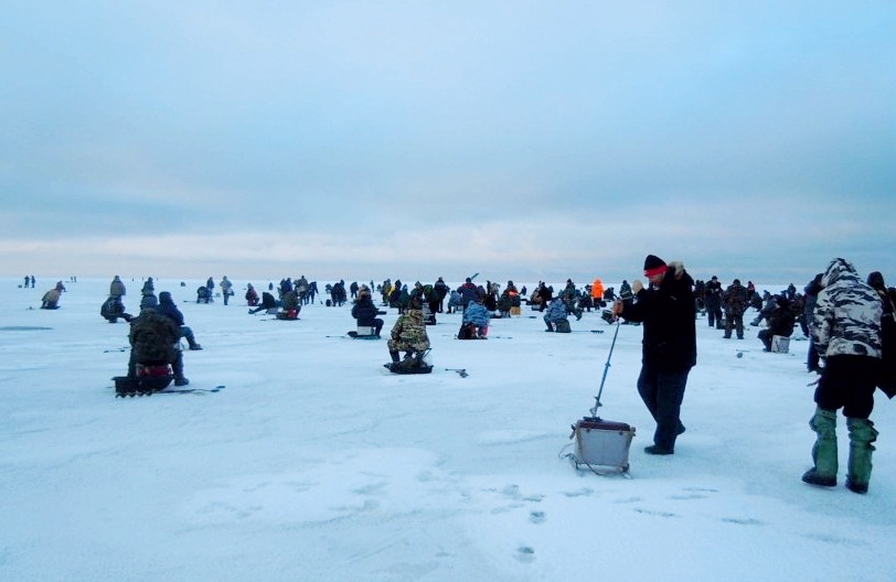 Для понимания ситуации... По меркам Ладожского озера, это совсем небольшая толпа... Иногда на ограниченных пространствах собирается до 1000 человек )))