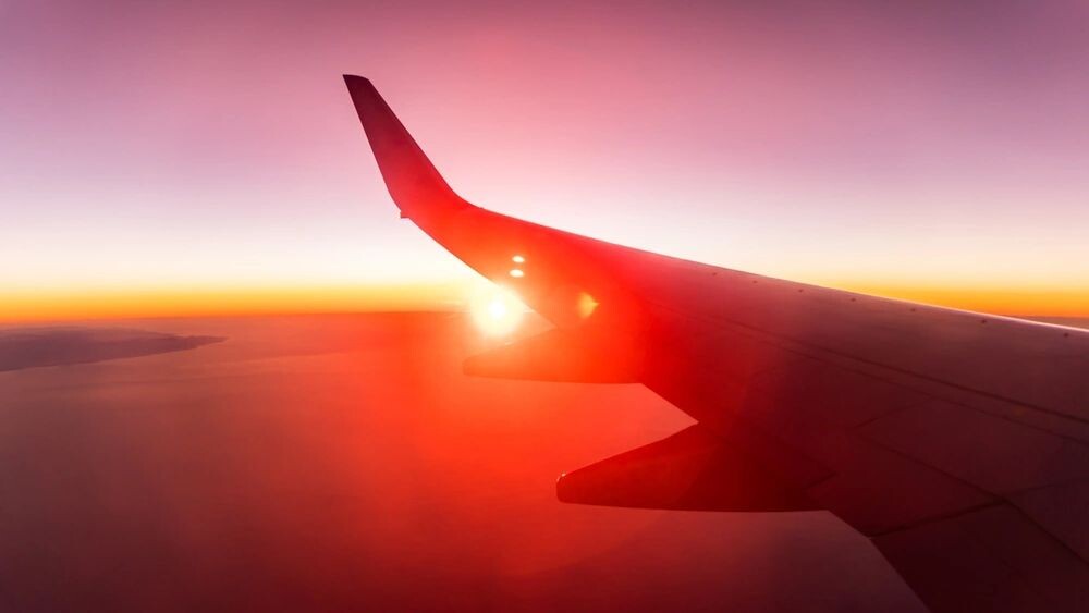    Фото: ProleR/Shutterstock/Fotodom