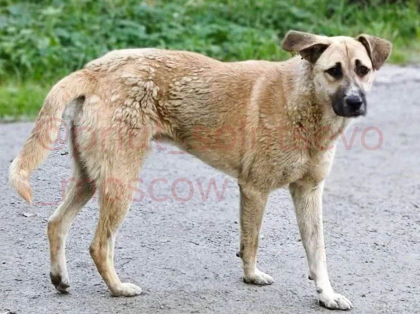 Таким Рик был на воле