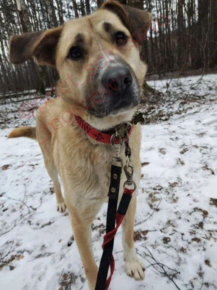 Про меня рассказываете?