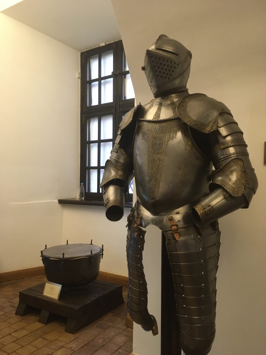 У Родзевилов была огромная коллекция оружия и рыцарской амуниции.