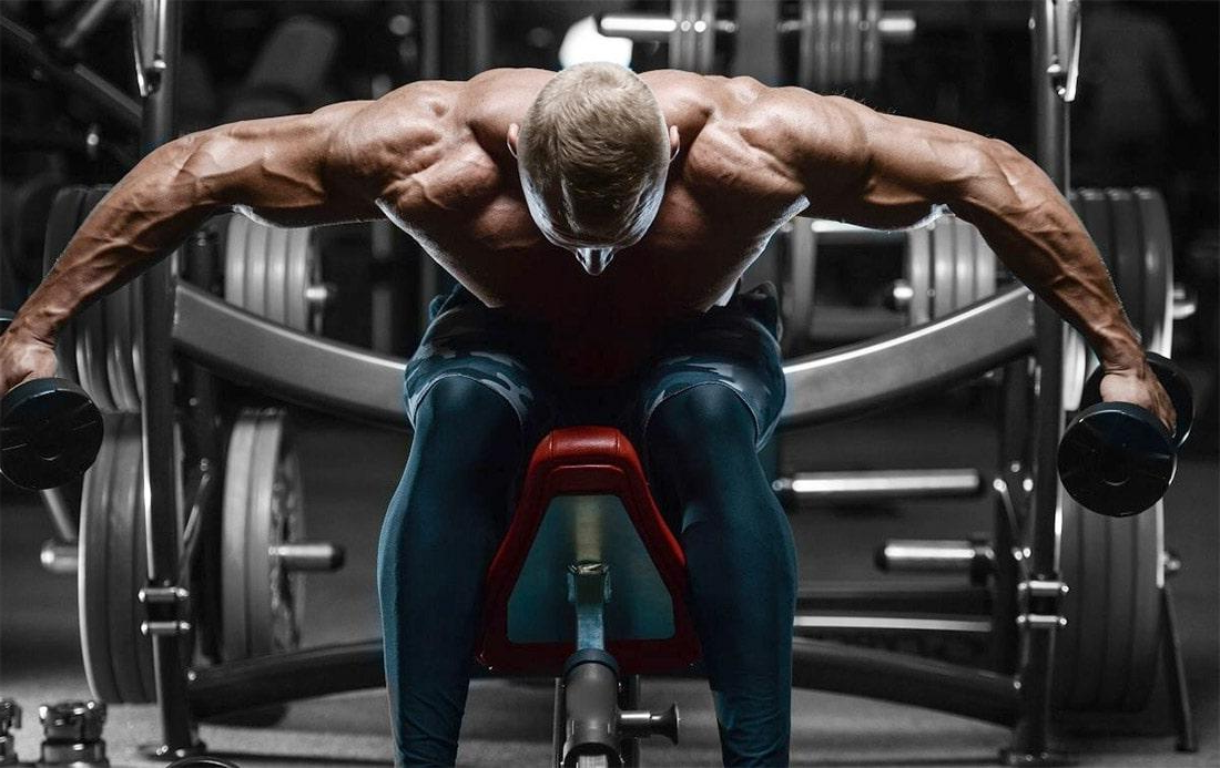 Источник: https://musclefit.info