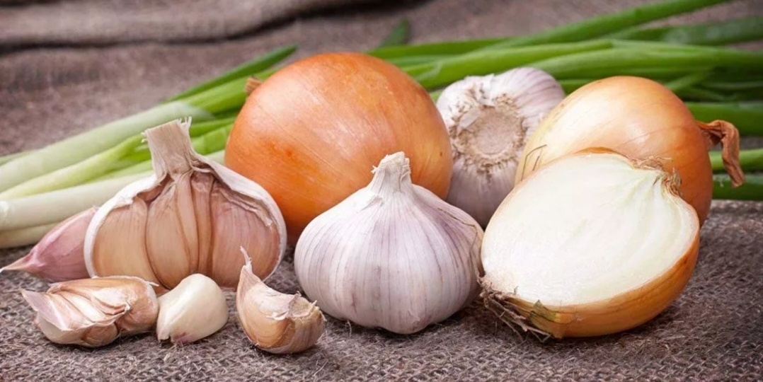 Лук и чеснок — действительно полезно употреблять или нет?