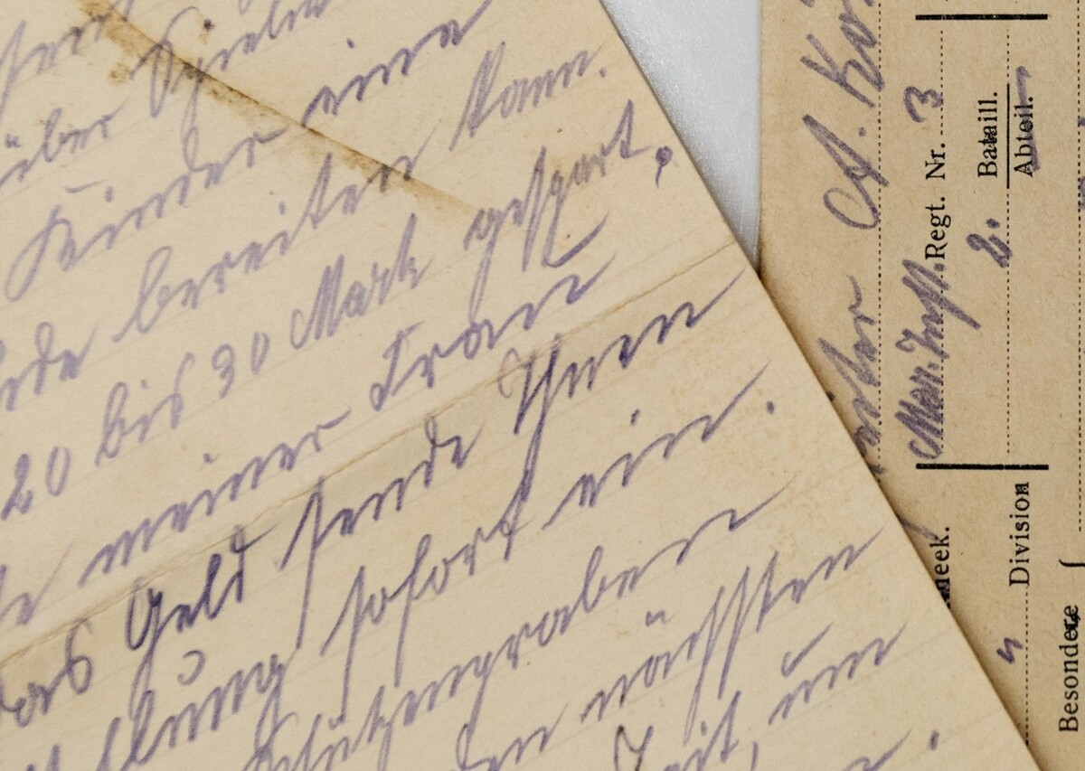     / Источник: © Global Look Press