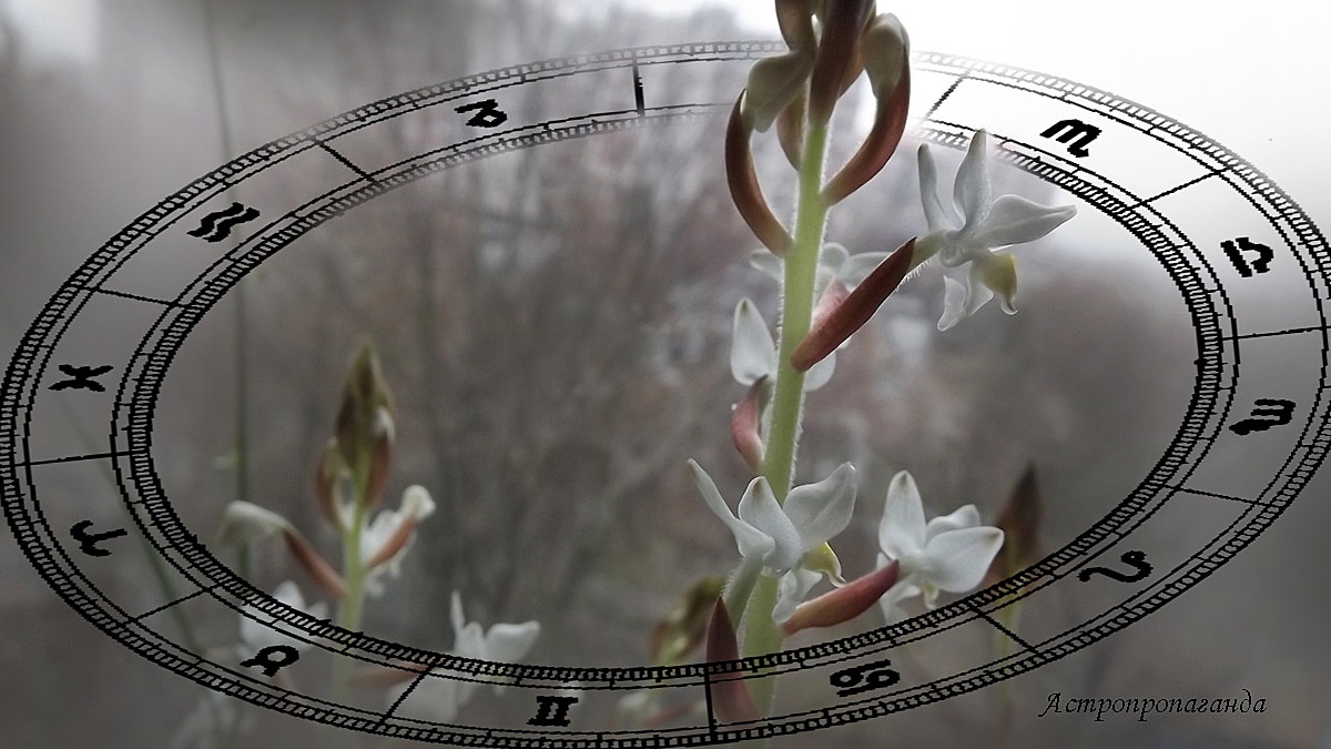 Гороскоп с 17 по 23 ноября 2025: Солнце и Меркурий поменяются знаками | Недельный гороскоп