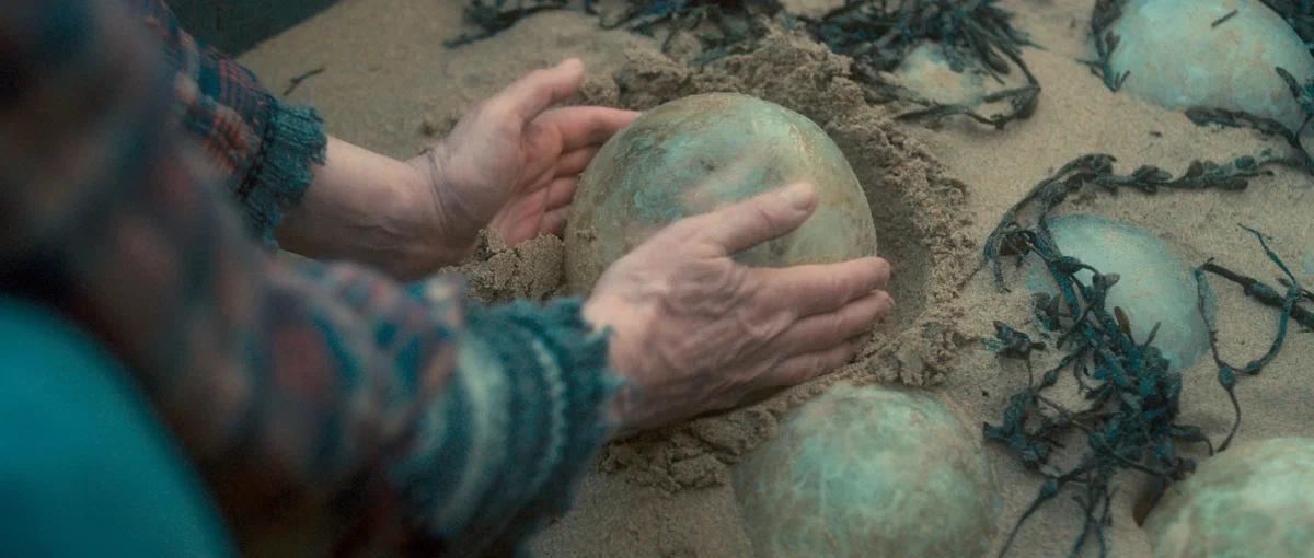 Кадр из фильма «Grabbers». Режиссер: Джон Райт. Производство: Forward Films, High Treason Productions, Irish Film Board, Nvizible, Samson Films