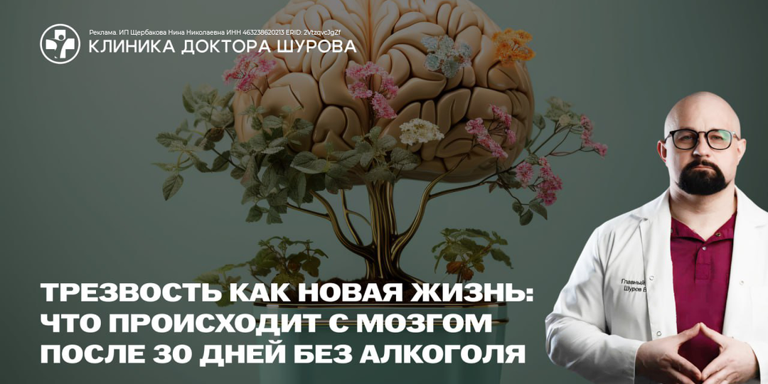 Трезвость как новая жизнь: что происходит с мозгом после 30 дней без алкоголя