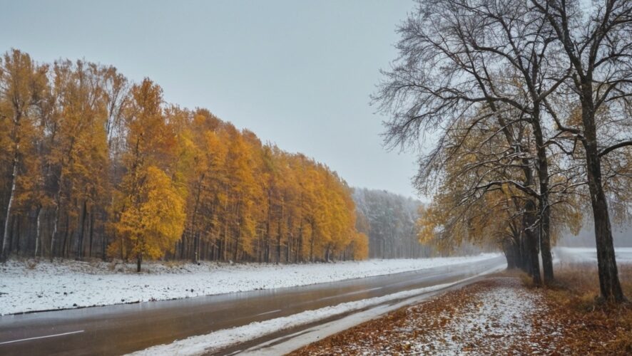    Фото: создано ИИ