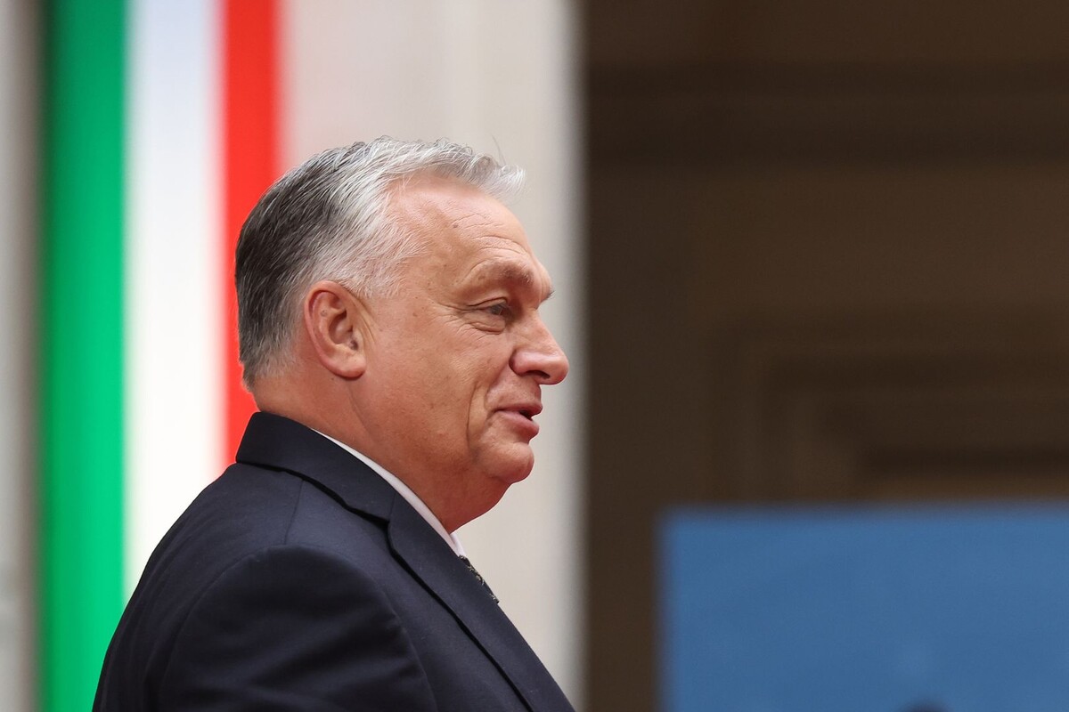     / Источник: © Global Look Press