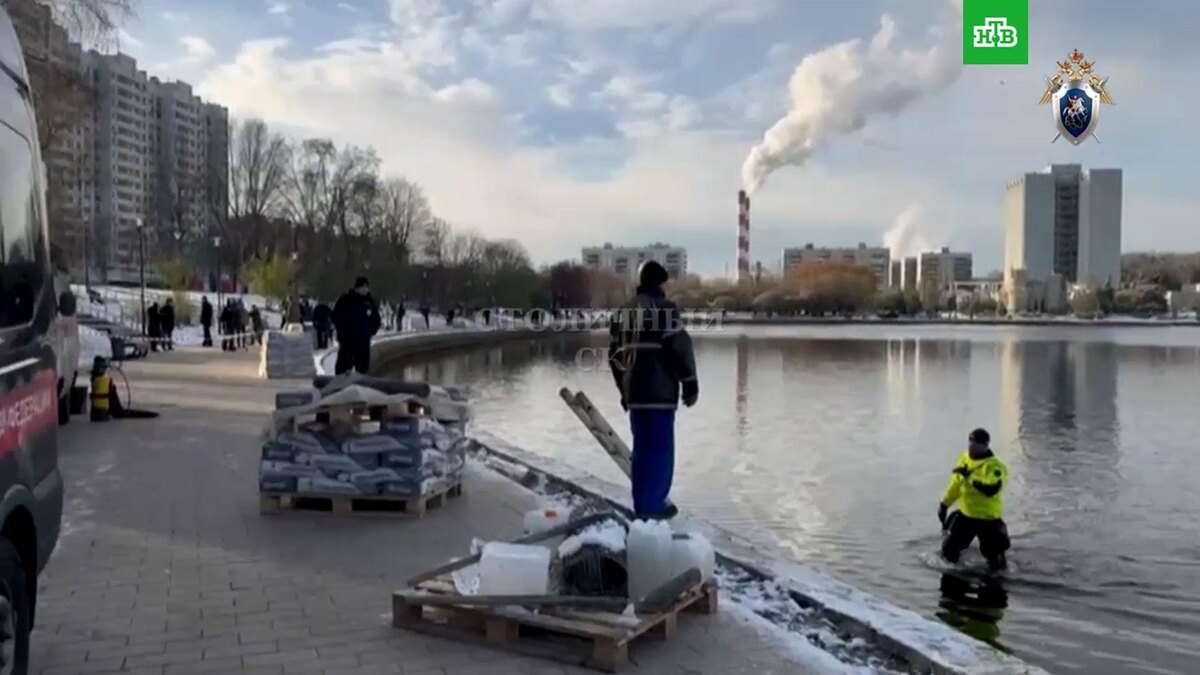    В Москве нашли расчлененного мальчика: опубликовано видео с места ЧП