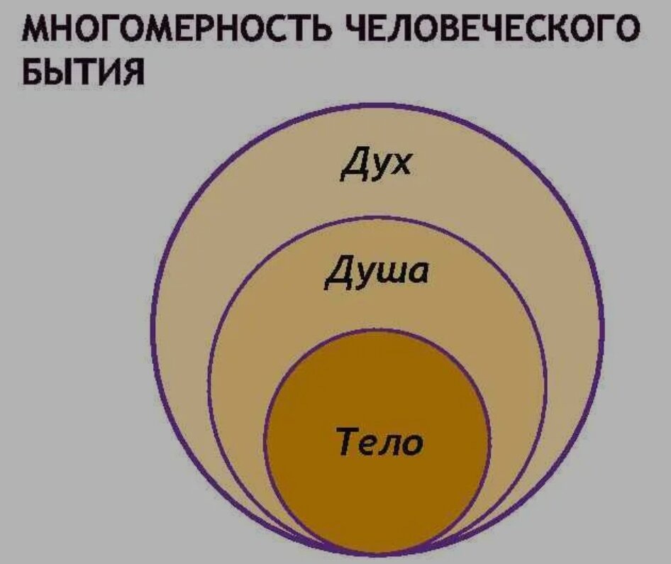 картинка взята из открытых источников интернета