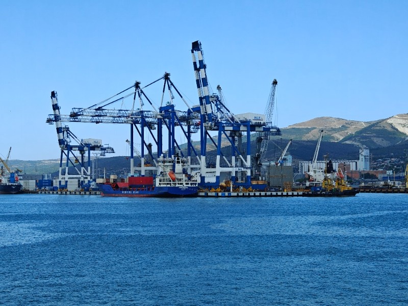    Фото: Юрий Серебренников/BFM Кубань