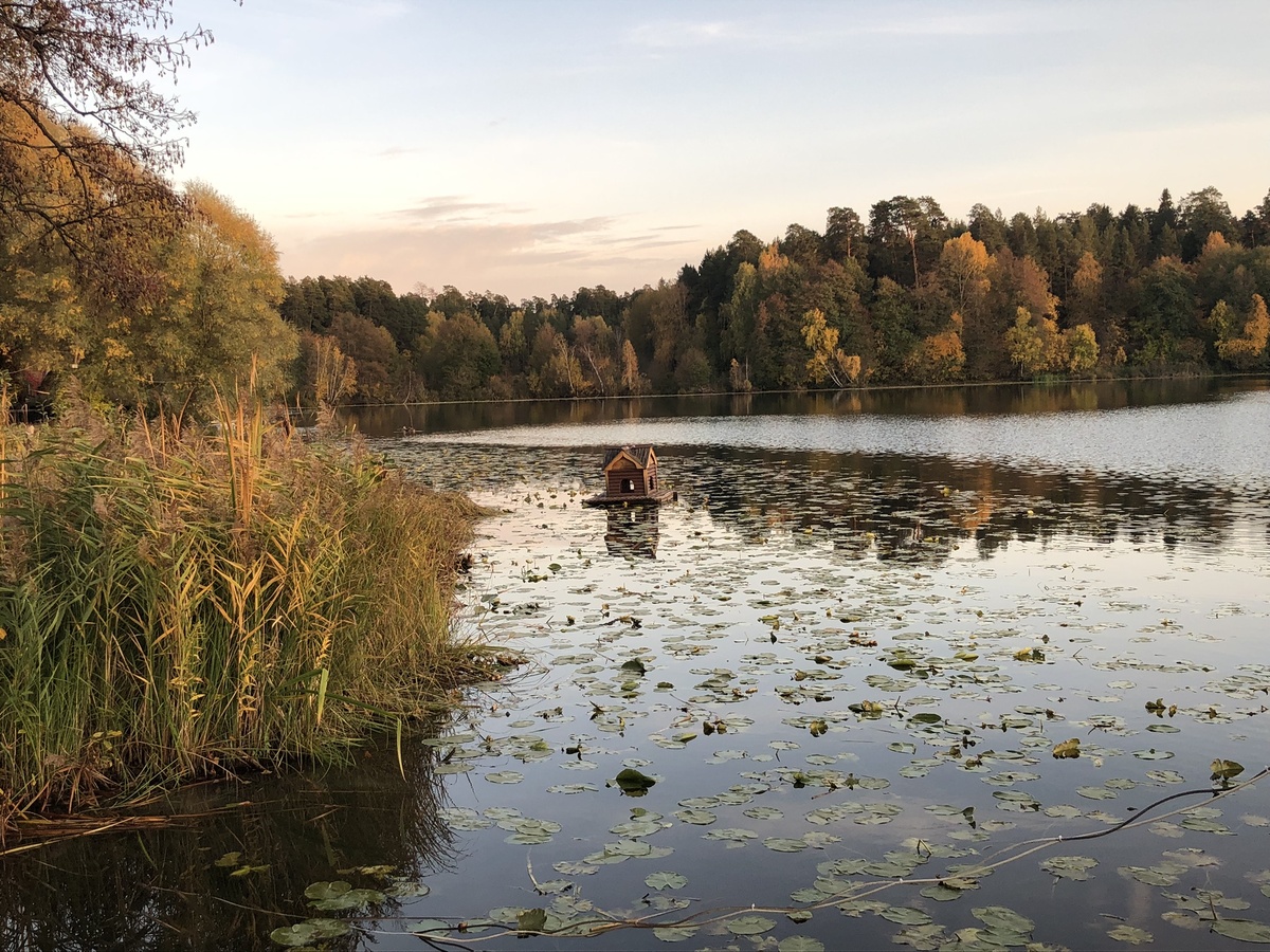Фотография автора канала