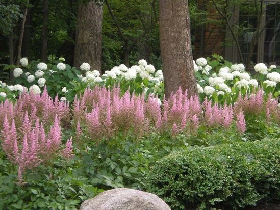 Тенистый сад 