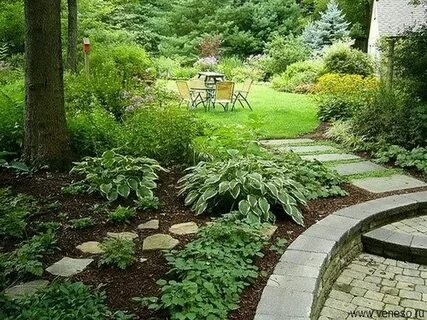 Дикорастущие растения — крапива, мокрица