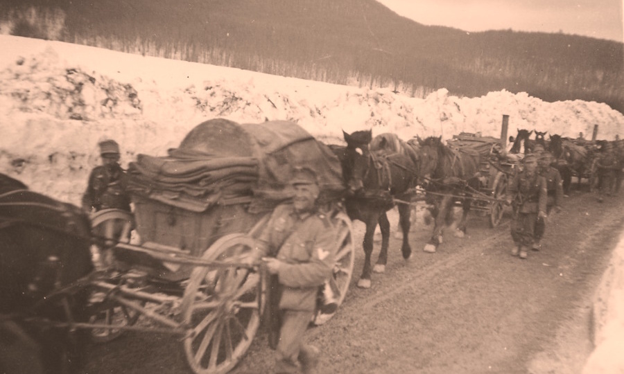 Чем артиллерийский парк от обоза отличался