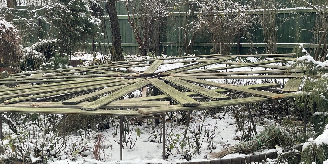 Укрытие роз на зиму