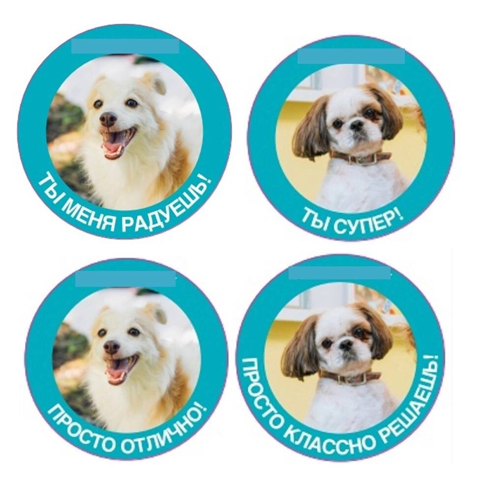 За правильно решенные задачи ученики Татьяны получают такие наклейки. Фото: тгк Вирджиния Woof 