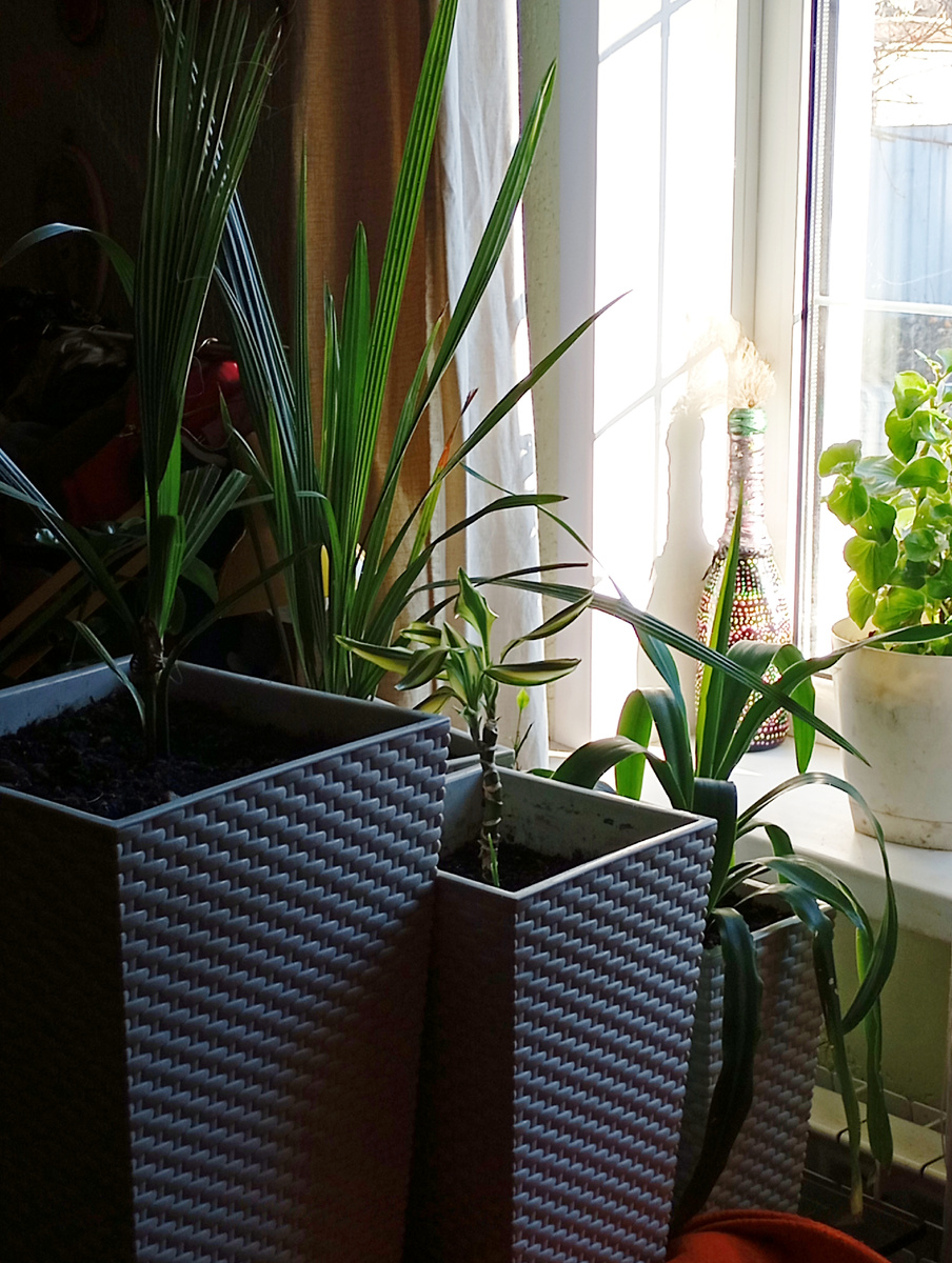 Утро доброе! Солнышко с утра!