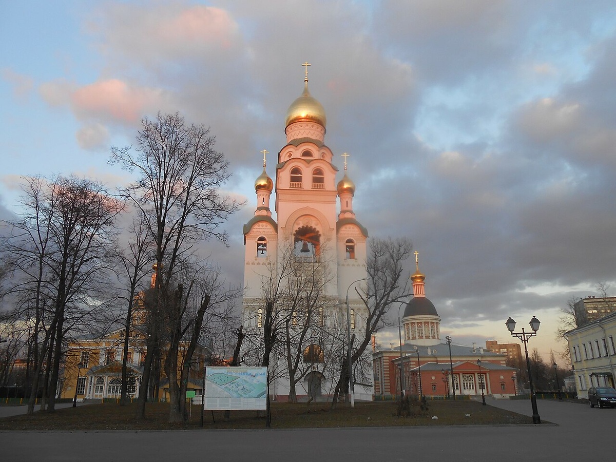 Источник: wikipedia.org Автор: Savelyev alexandr CC BY-SA 4.0